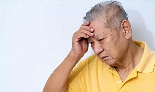 儿子悄悄考上北大妈妈惊成静止画面